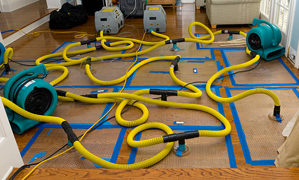 Professional Storm Water Damage Restoration technician working in Harwich, MA